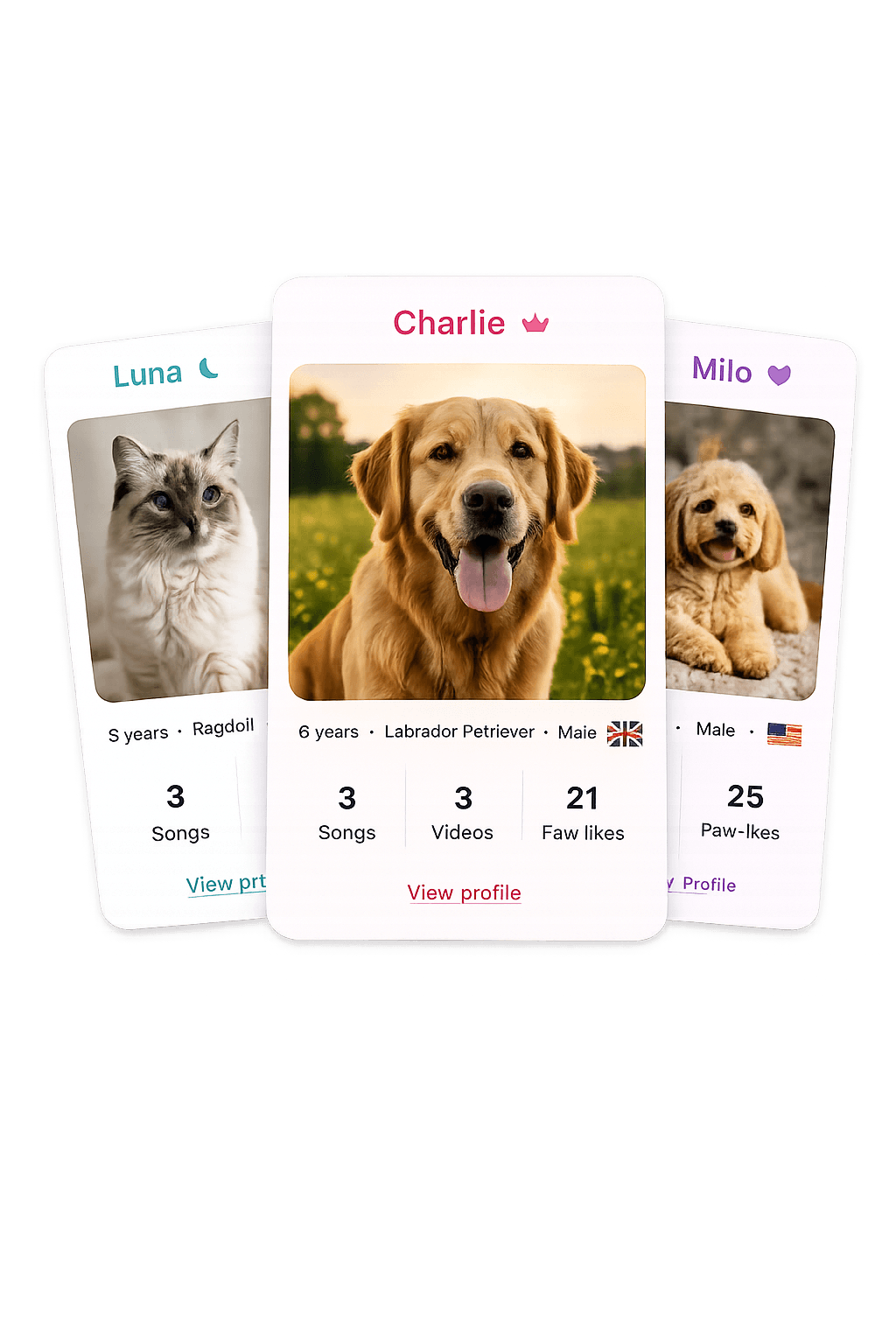 Example pet profile cards
